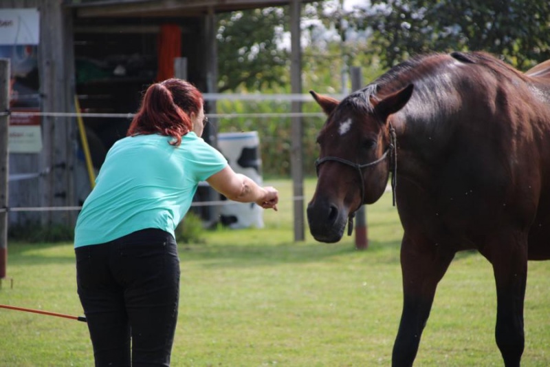 lust_am_leben_horseman_leadership_program_level_2_0