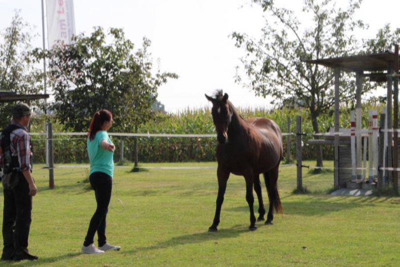 lust_am_leben_horseman_leadership_program_level_2_0