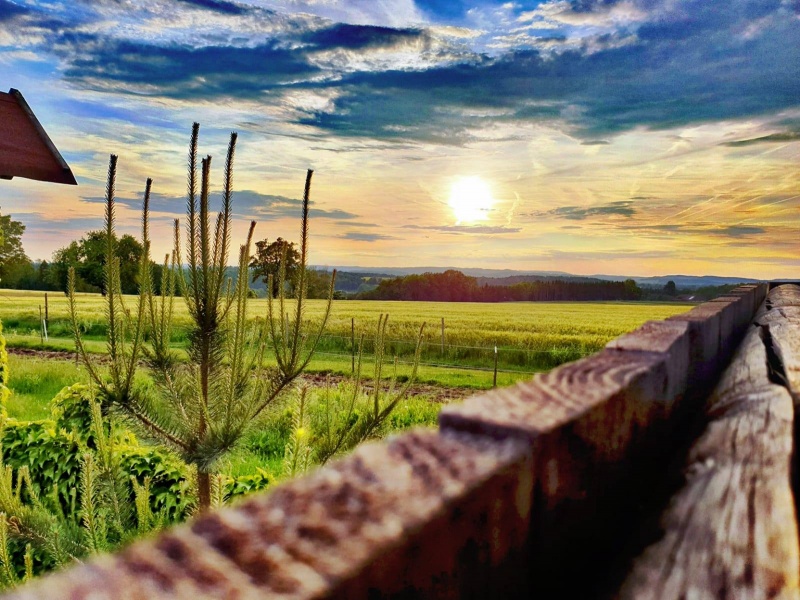 lust_am_leben_pferde_einstellplaetze_ooe