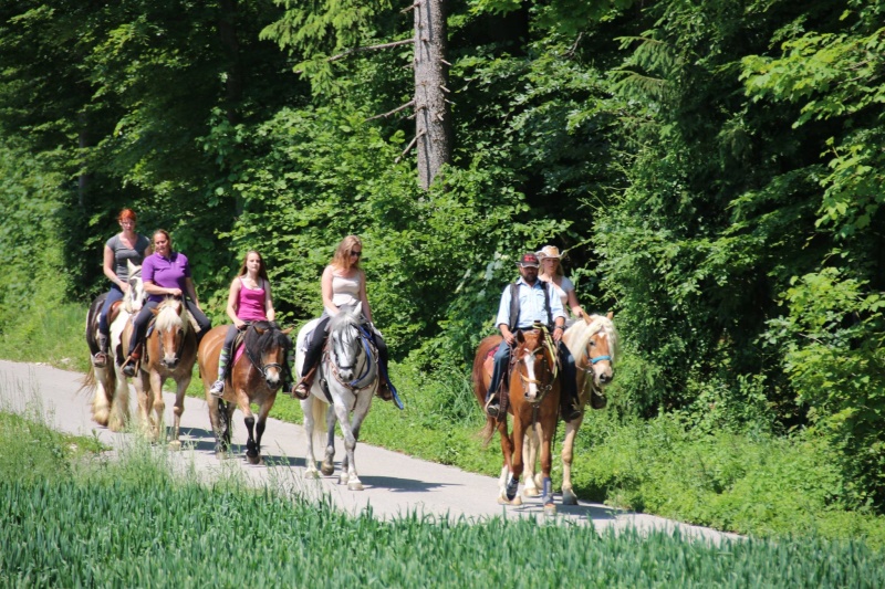 lust_am_leben_pferde_einstellplaetze_ooe