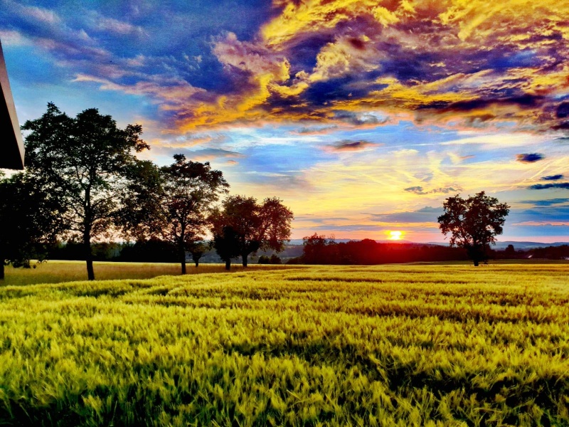 lust_am_leben_pferde_einstellplaetze_ooe