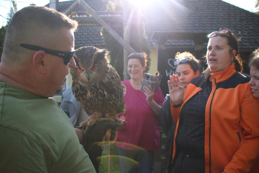 Lust am Leben Greiftiervogelshow