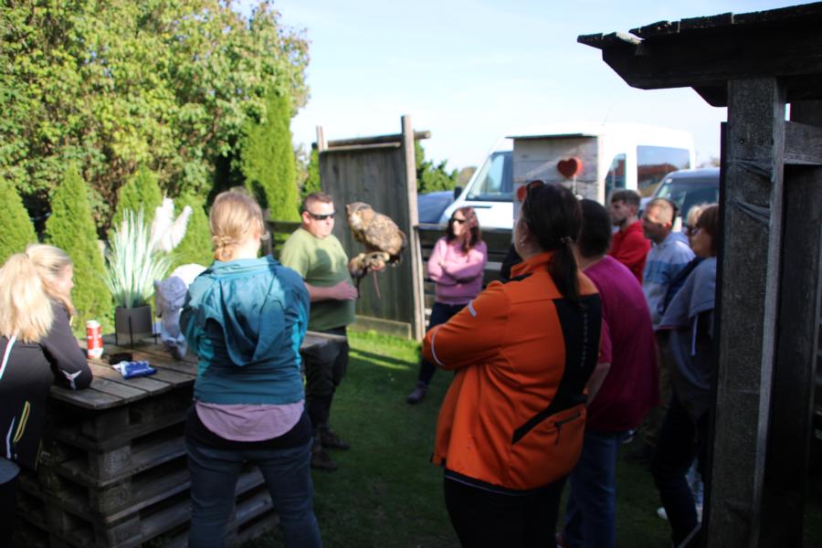 Lust am Leben Greiftiervogelshow