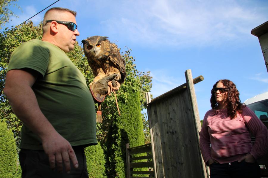 Lust am Leben Greiftiervogelshow