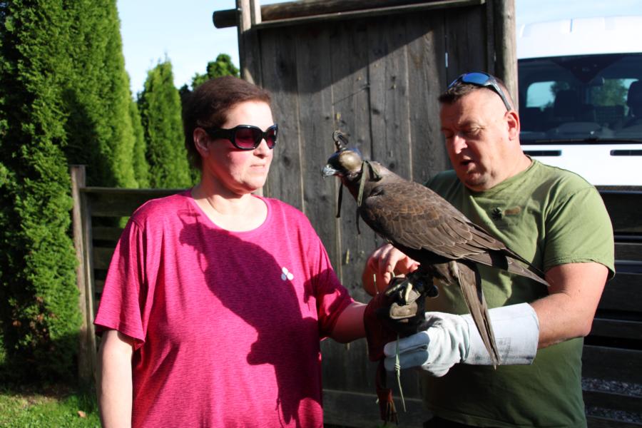 Lust am Leben Greiftiervogelshow