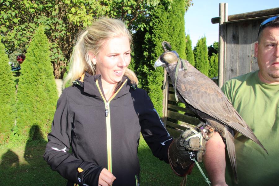 Lust am Leben Greiftiervogelshow
