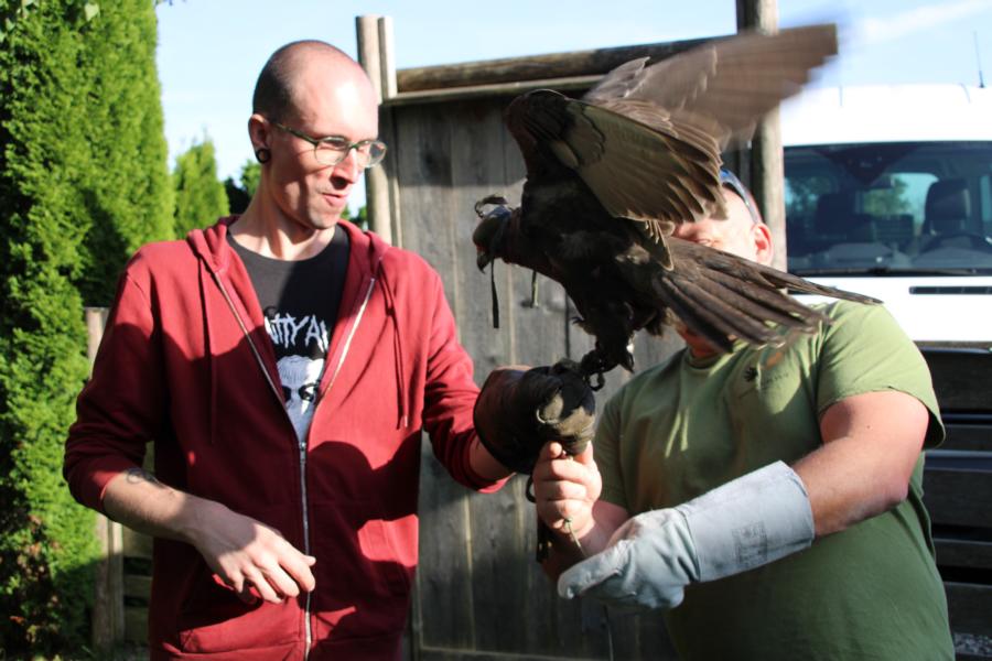 Lust am Leben Greiftiervogelshow