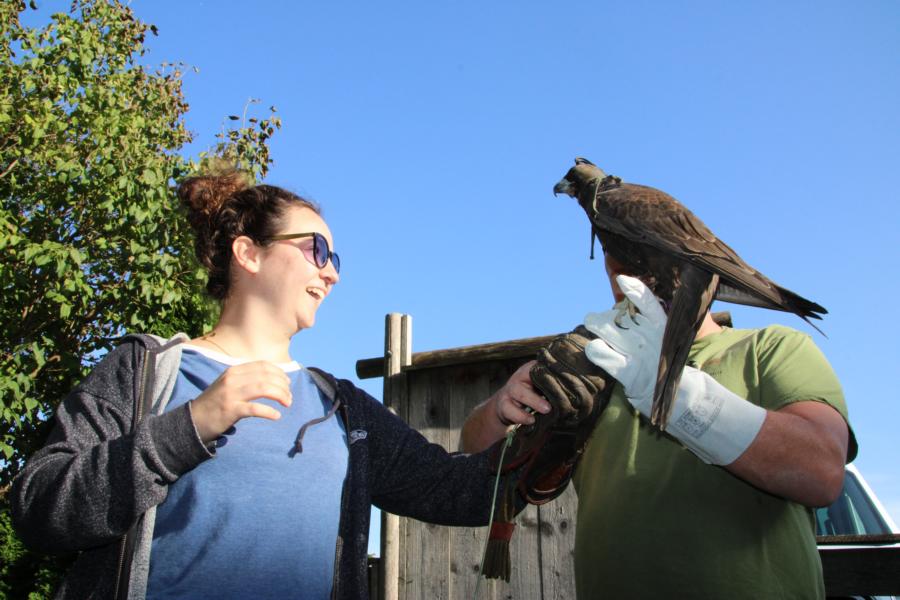 Lust am Leben Greiftiervogelshow