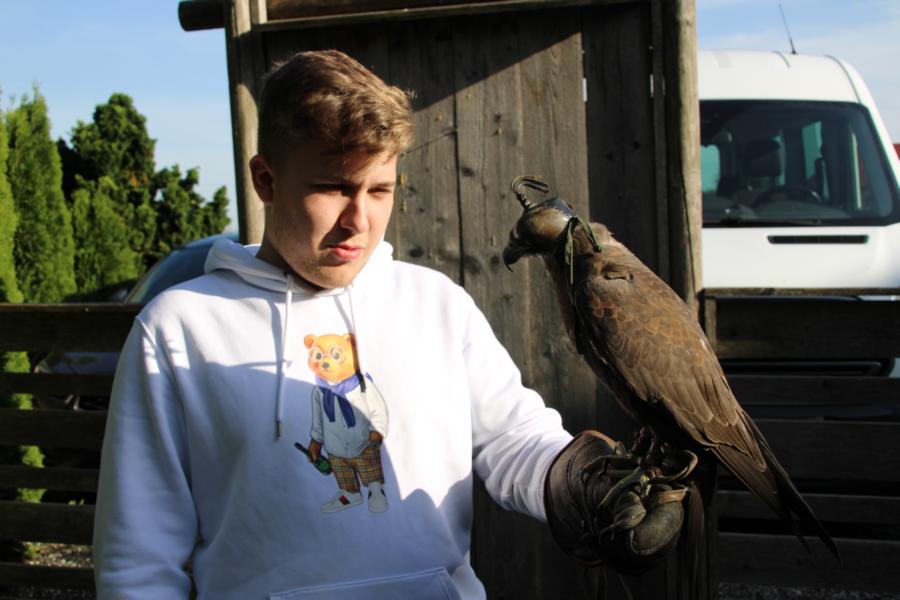 Lust am Leben Greiftiervogelshow