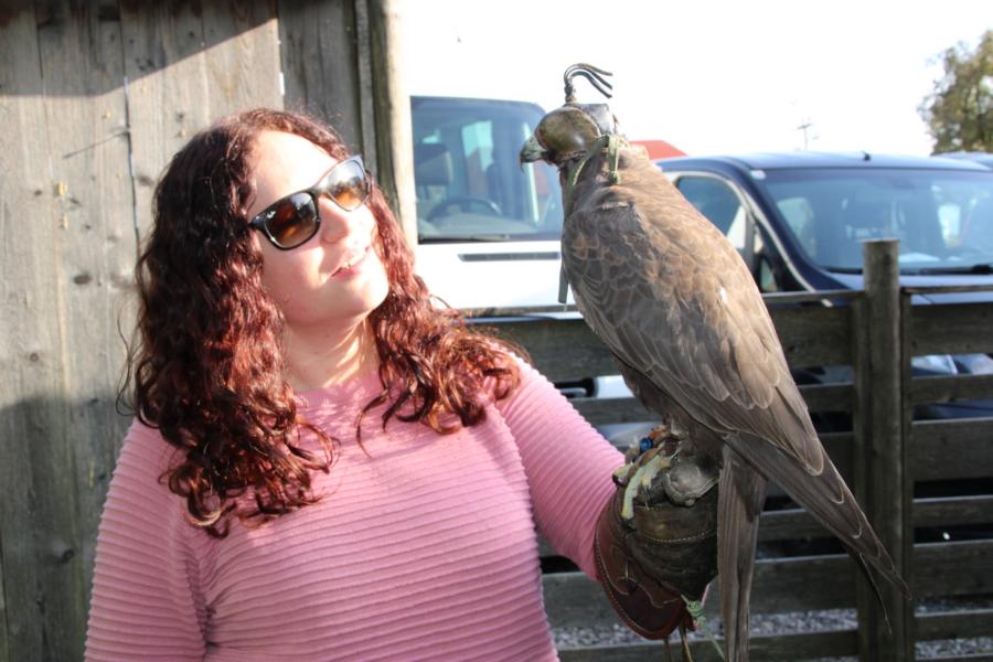 Lust am Leben Greiftiervogelshow