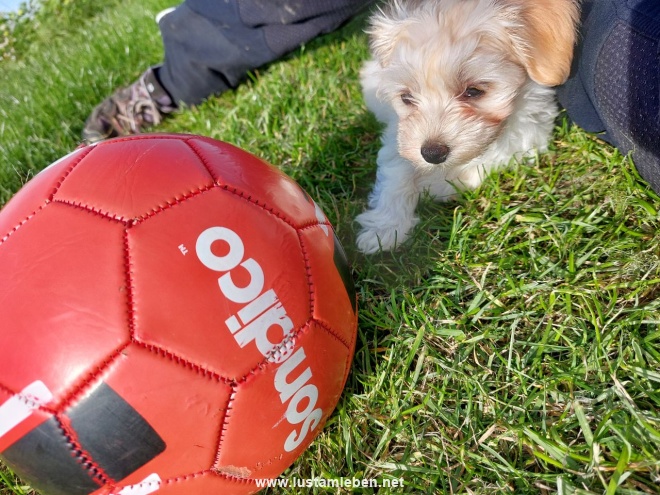 Aimee unser Geschenk