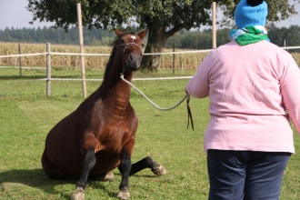 Lust am Leben Leadership