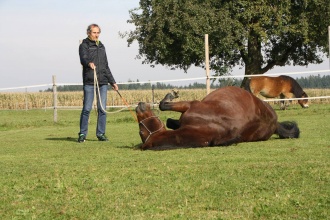 Lust am Leben Leadership