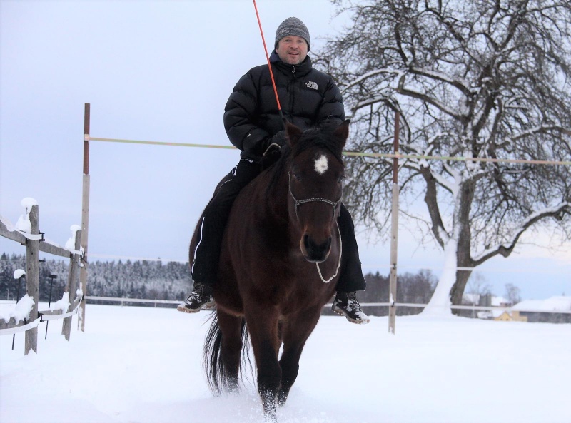 lust_am_leben_horseman_leadership_program_level