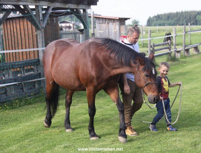 Kinder und Jugendcoaching Lust am Leben