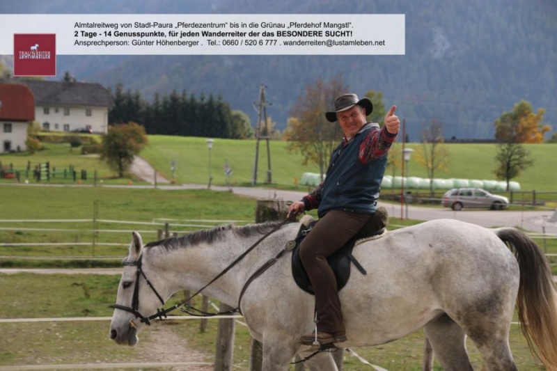 wanderreiten_im_almtal