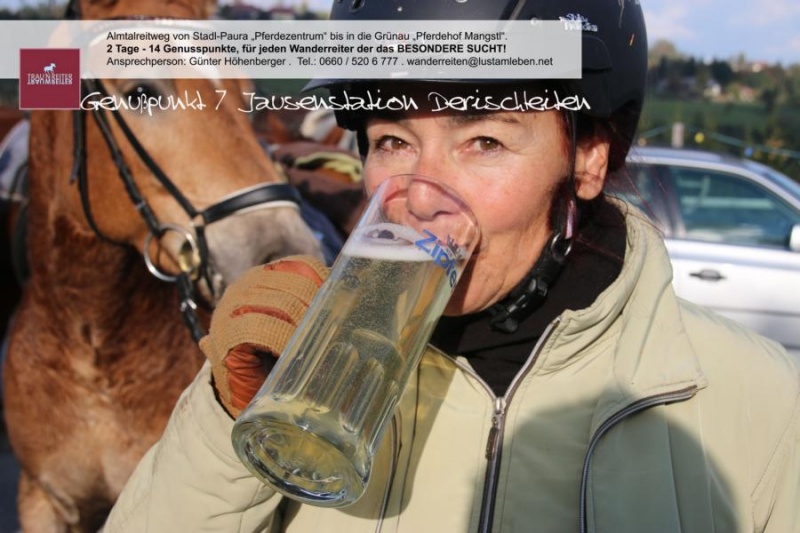 wanderreiten_im_almtal