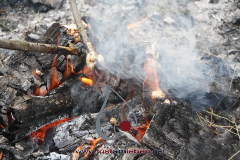 #LustAmLeben #Kindergeburtstag #AbenteuerCamp #NaturErleben #PferdeErleben #SpaßInDerNatur #KinderEvents #Linz #Wels #Gmunden #Geburtstagsfeier #OutdoorErlebnis #MentaleStärke #KinderAbenteuer