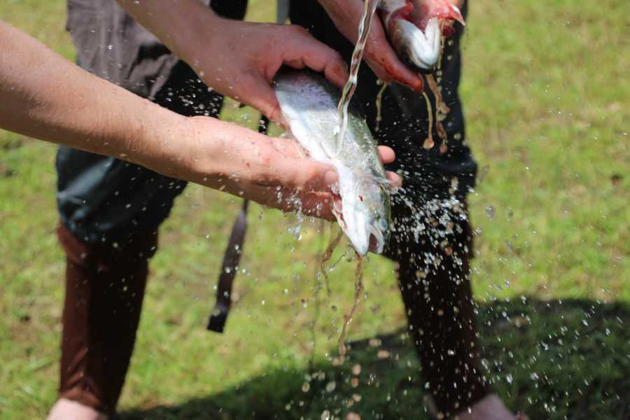 #FamilienSurvivalCamp, #SurvivalMitKindern, #OutdoorAbenteuer, #FamilienAbenteuer, #ZurückZurNatur, #LagerfeuerLiebe, #NaturErleben, Survival Training, #AbenteuerFürKinder, #WildnisCamp, #GemeinsamDraußen, #LebenInDerNatur, #DigitalDetox, #AbenteuerZeit, #KinderErlebenNatur