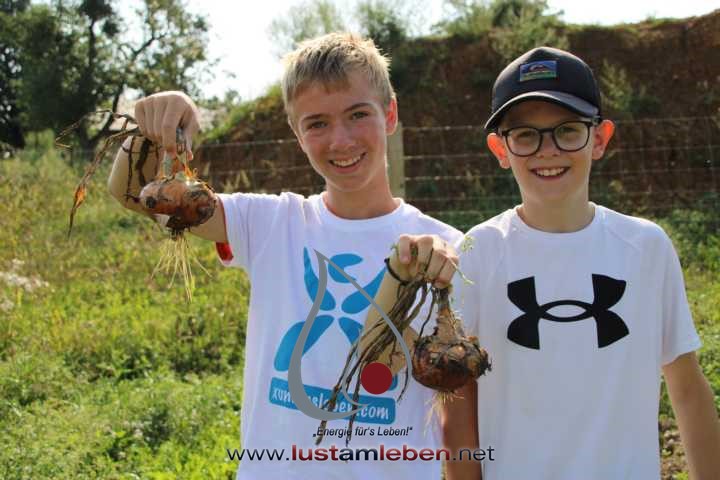 #LustAmLeben #KinderUndJugendCamp #NaturErleben #KreativitätFördern #Selbstentfaltung #TiereErleben #AktivesLernen #AchtsameZeit #KinderBetreuung #JugendlicheErziehen #WerteVermitteln #NaturAbenteuer