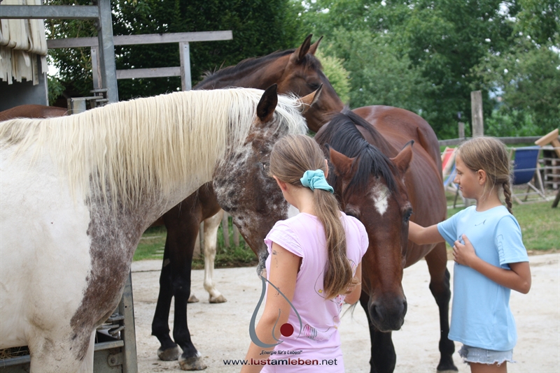 #KennenlernTag #Begrüßungstag #NeuesSchuljahr #NeueKlasse #Schulstart #TeamBuilding #Schulalltag #Schulbeginn #NeueFreunde #Schulcommunity #Projekttage #Projektwoche #LernenMitSpaß #Handlungsorientiert #Teamwork #Schulprojekt #Projektarbeit #Schulideen #KreativesLernen #SchuleMalAnders #Schulabschluss #Klassenabschluss #Abschlussfeier #LetzterSchultag #Matura #Schulzeit #Schulende #Abschlussfahrt #Erinnerungen #Schulfreunde #AbenteuerWoche #NaturErlebnis #Erlebniswoche #SpieleInDerSchule #OutdoorLearning #T